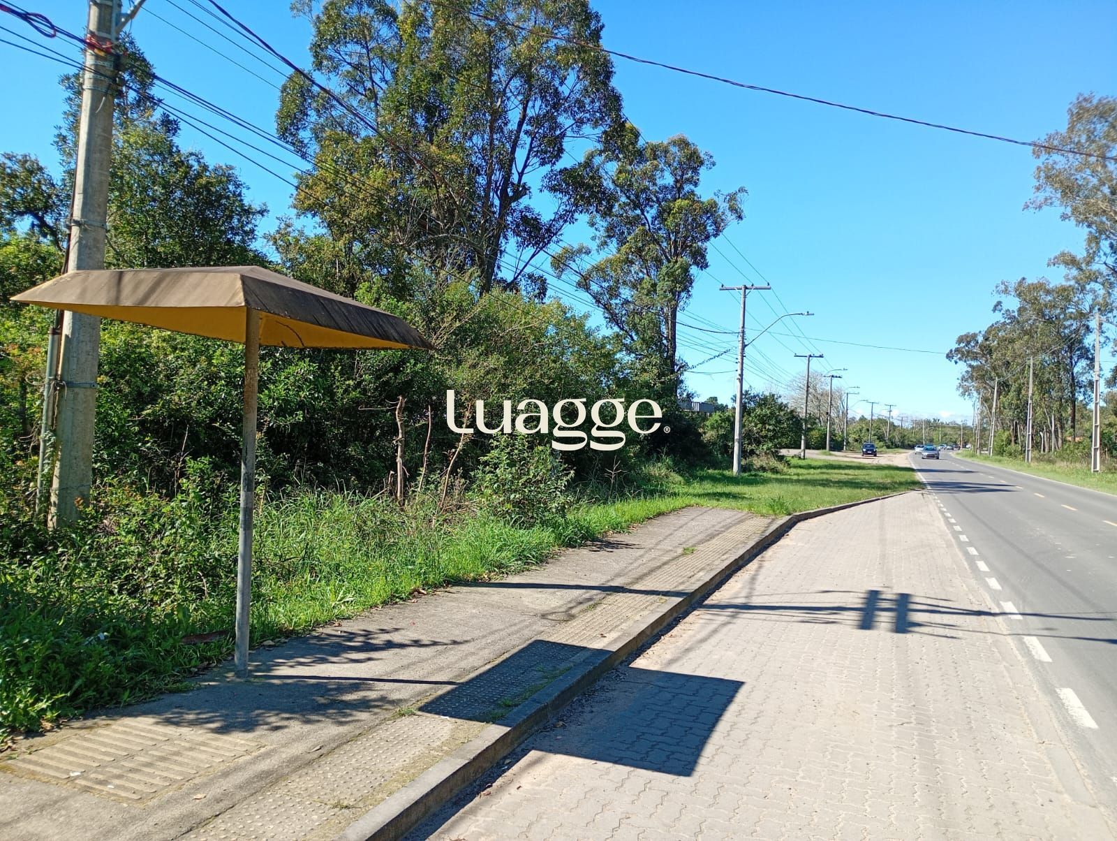 Terreno, à venda, São Caetano - Porto Alegre — foto 3