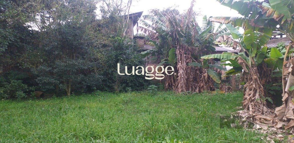 Sítio à venda com 3 quartos, 252m² - Foto 17