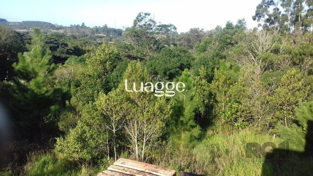 Sítio, 3001 m² - Foto 14