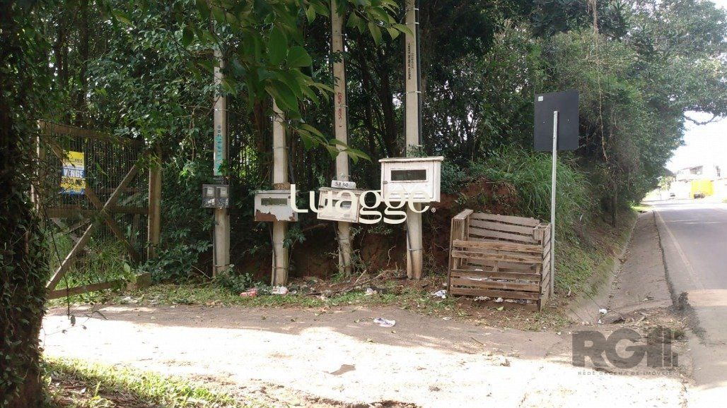 Terreno, 301 m² - Foto 6