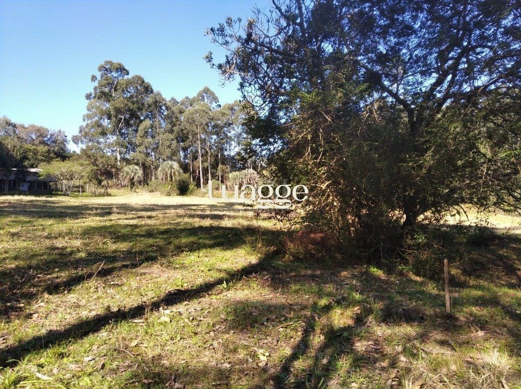 Sítio à venda, 2500m² - Foto 5