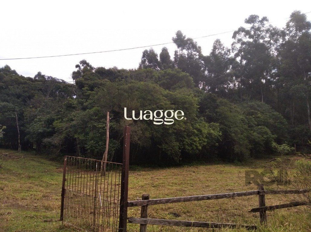 Terreno, 2501 m² - Foto 5