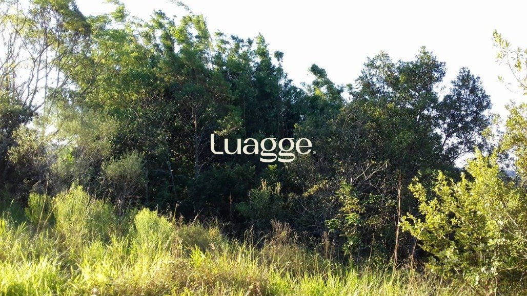 Sítio, 3001 m² - Foto 21