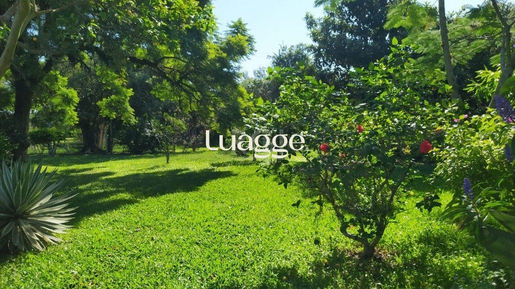 Sítio à venda com 3 quartos, 159m² - Foto 14