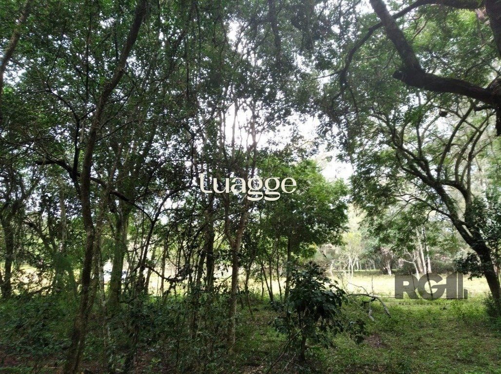 Terreno, 801 m² - Foto 3