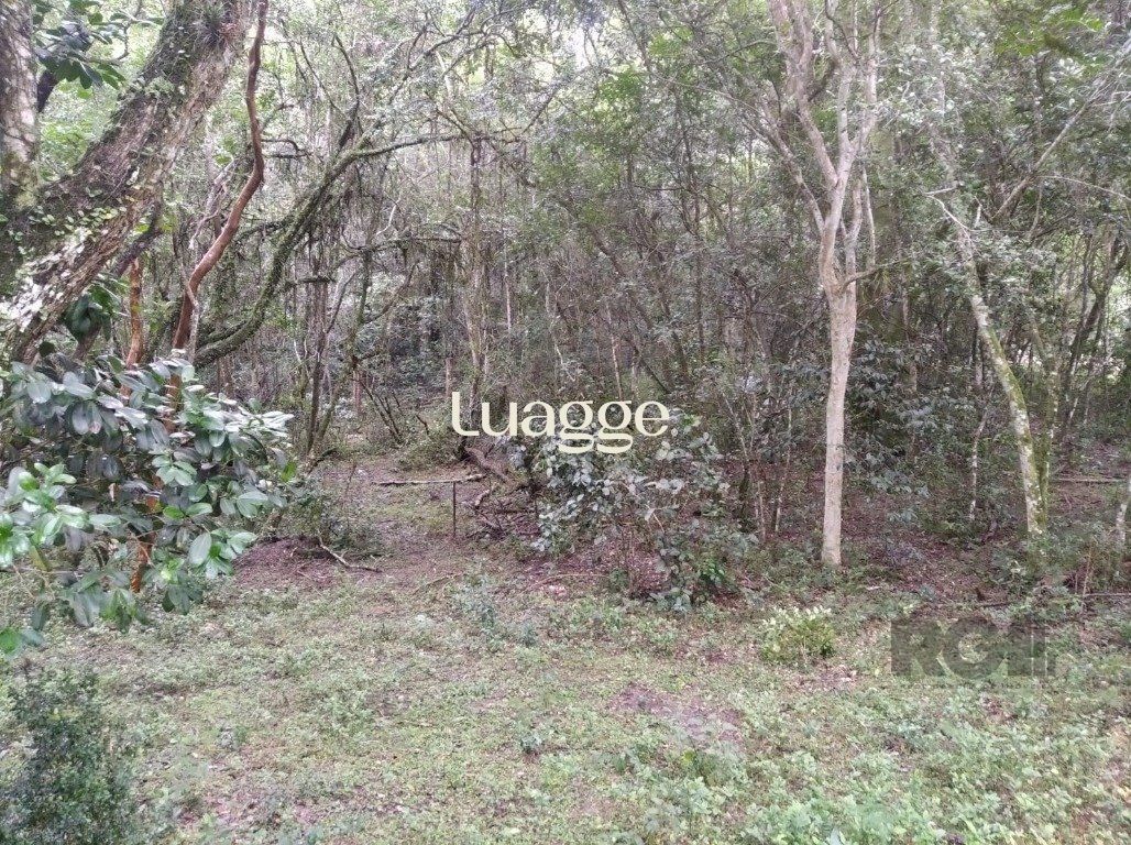 Terreno, 2501 m² - Foto 3