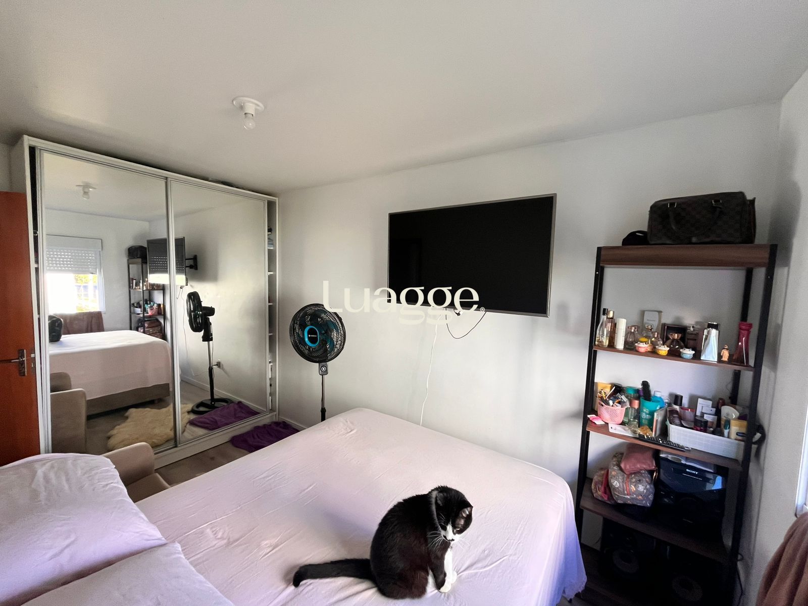 Apartamento à venda com 2 quartos, 51m² - Foto 11