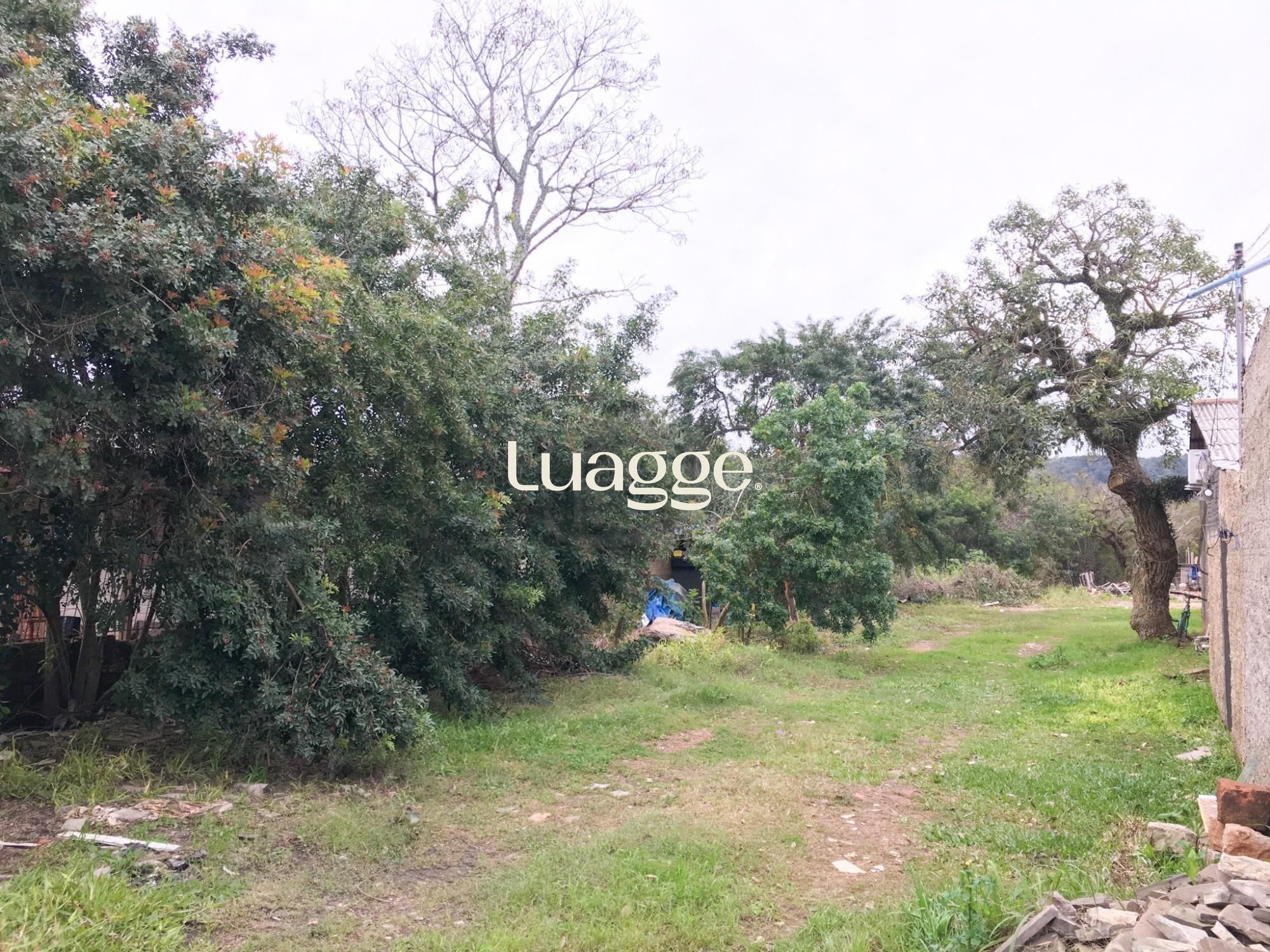 Terreno, à venda, Aberta dos Morros - Porto Alegre — foto 4