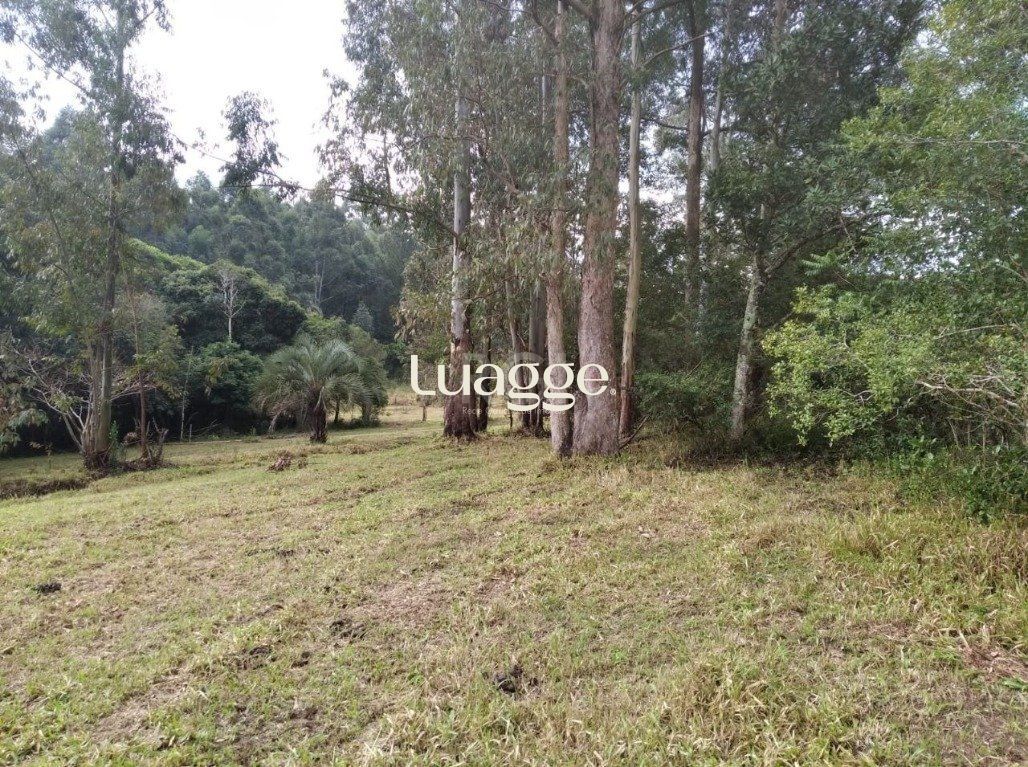 Terreno, 2501 m² - Foto 8