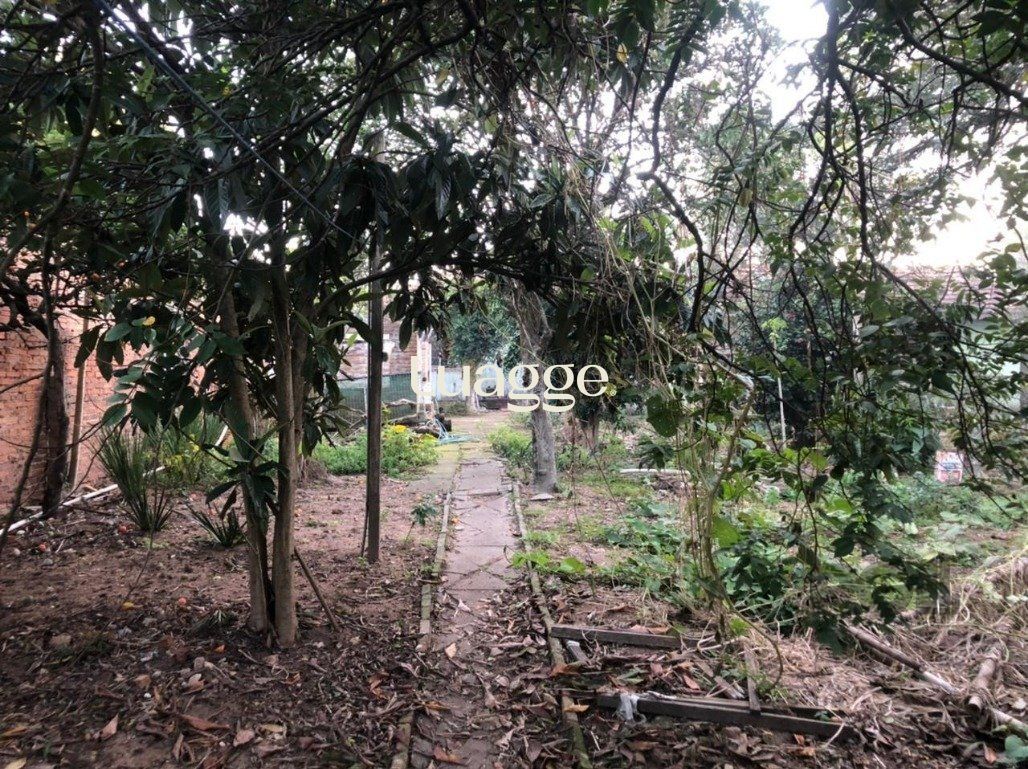 Terreno à venda, 762m² - Foto 3