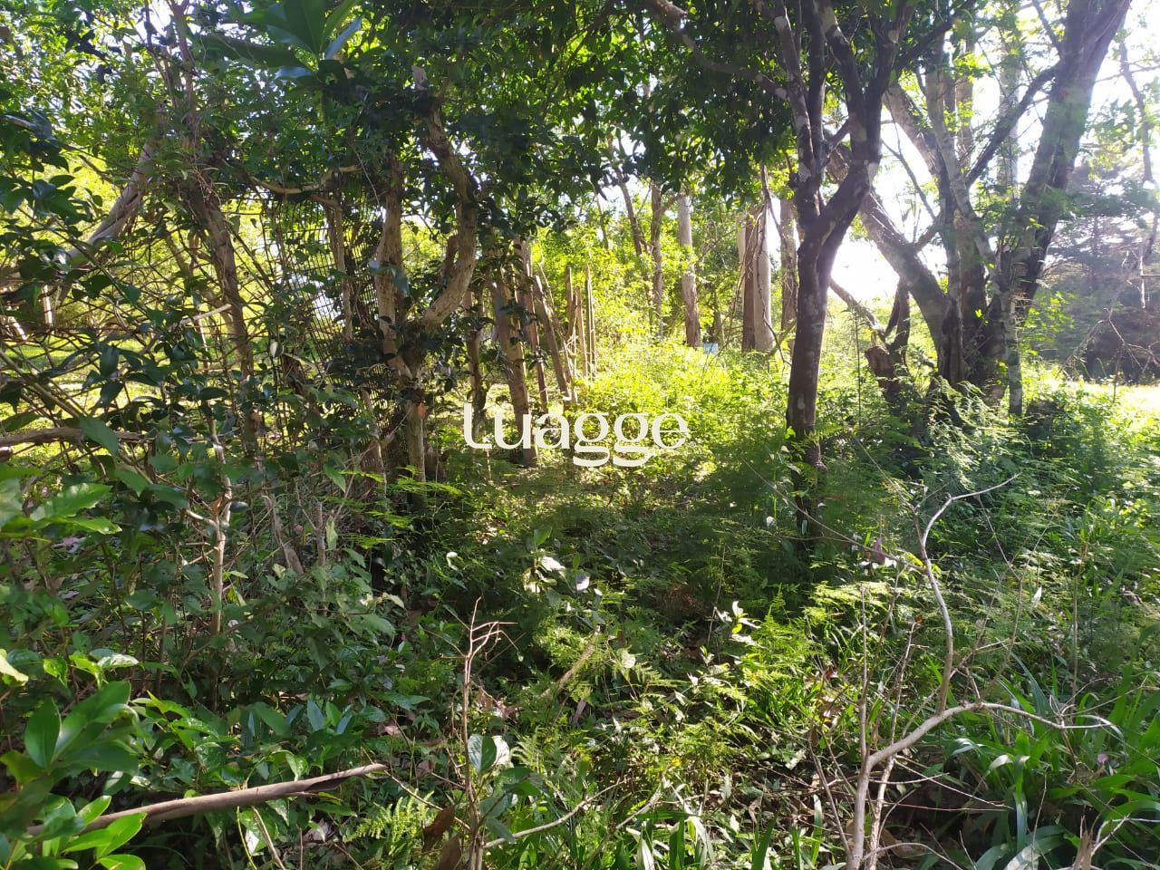 Terreno, à venda, Extrema - Porto Alegre — foto 2
