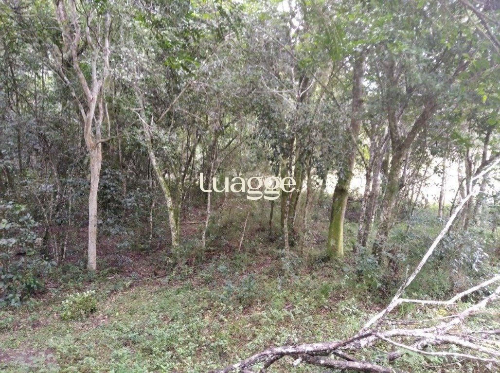 Terreno, 2501 m² - Foto 11