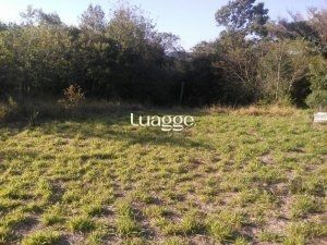 Terreno, 801 m² - Foto 1