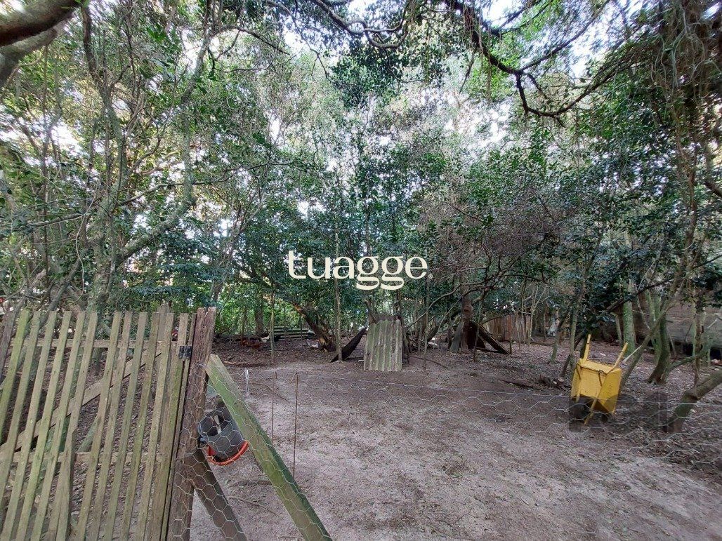 Sítio à venda com 1 quarto, 95m² - Foto 8