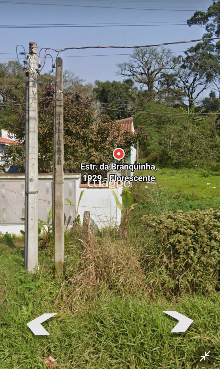 Terreno, 4 hectares - Foto 2