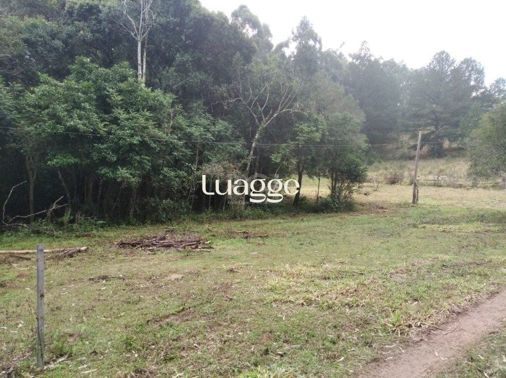 Terreno, 2501 m² - Foto 1