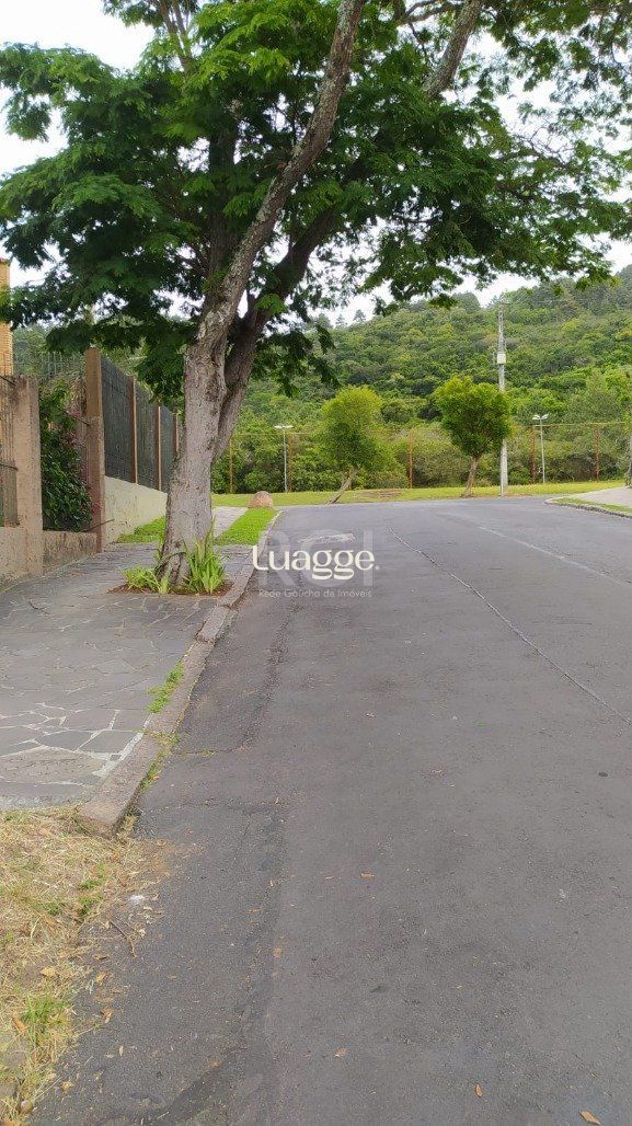 Terreno, 321 m² - Foto 6