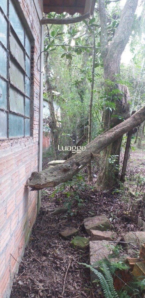 Sítio à venda com 3 quartos, 252m² - Foto 15