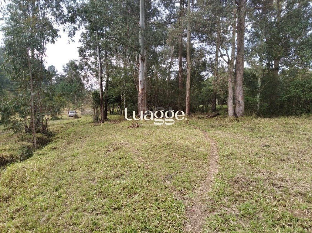 Terreno, 2501 m² - Foto 12