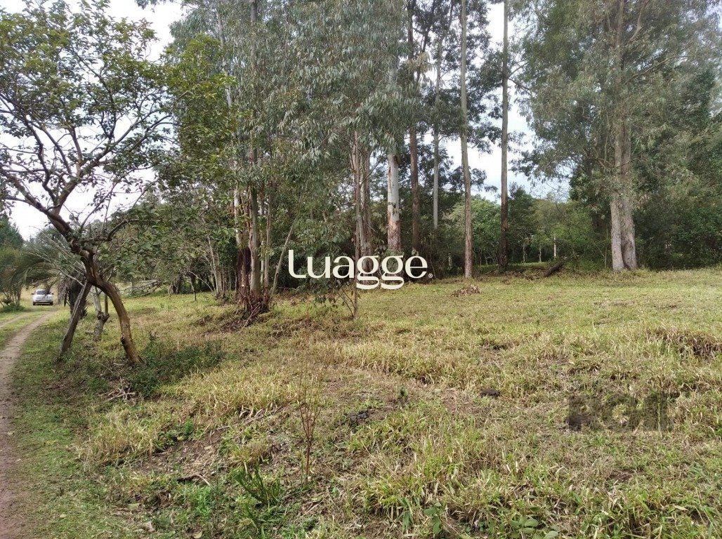 Terreno, 2501 m² - Foto 6