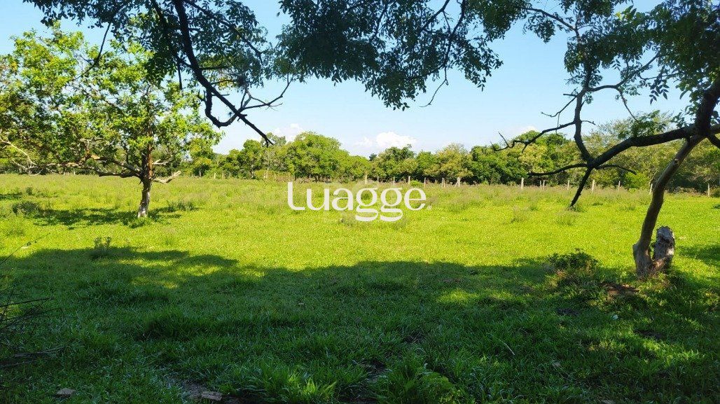 Sítio à venda com 3 quartos, 159m² - Foto 15