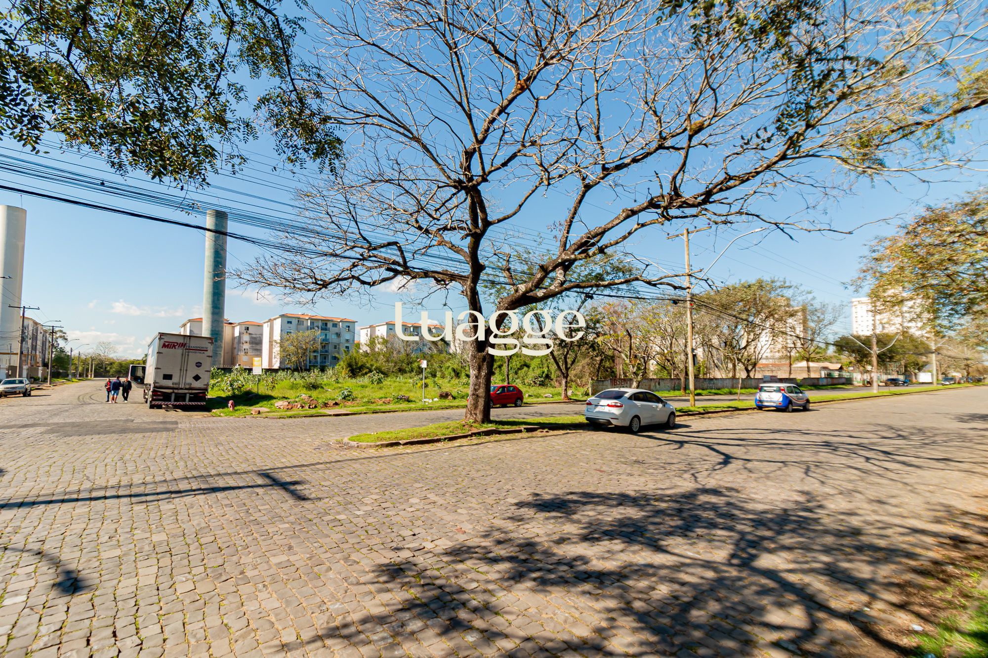 Terreno, 6151 m² - Foto 5