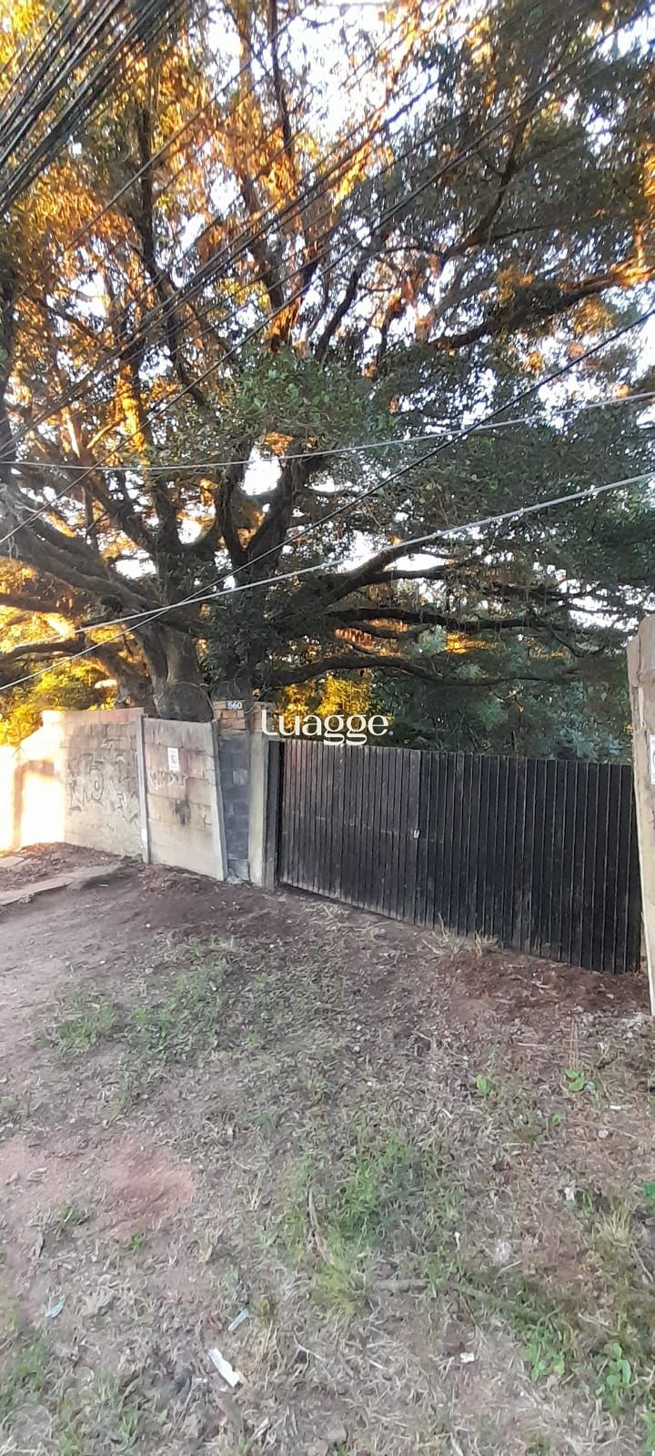 Terreno, à venda, Nonoai - Porto Alegre — foto 4