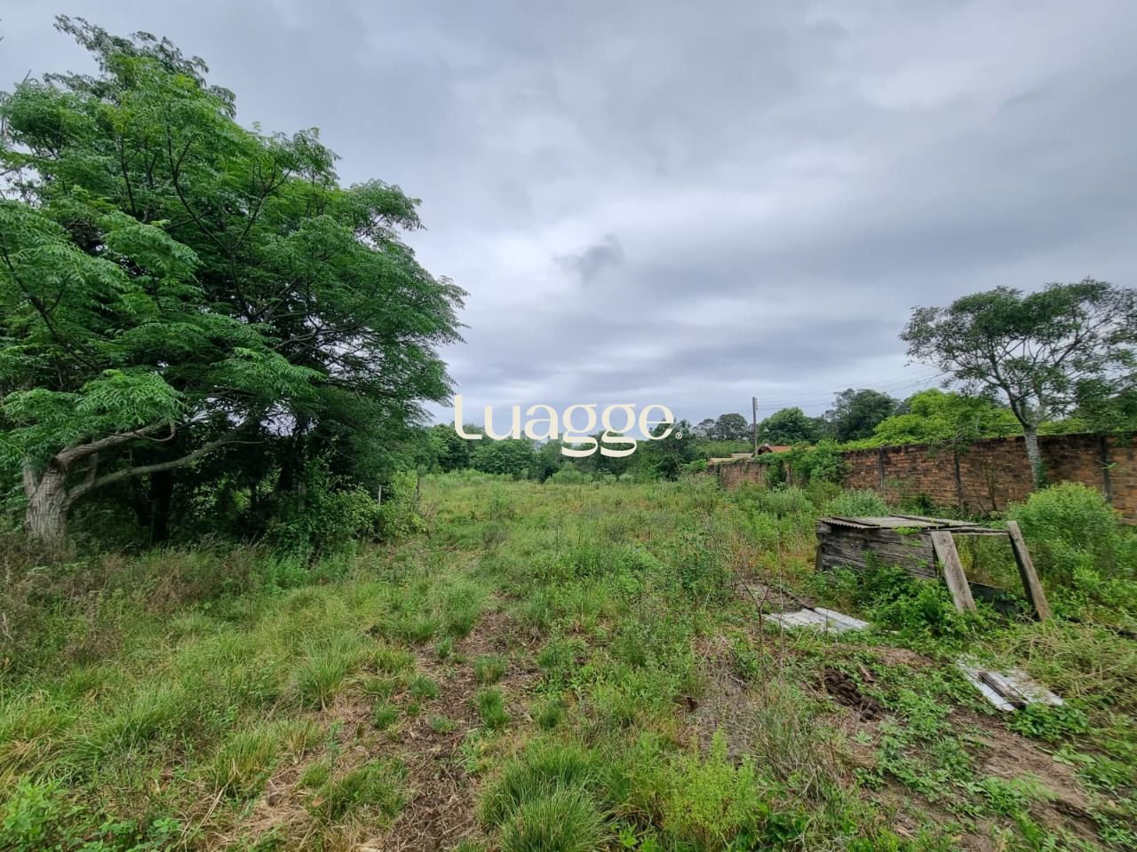 Terreno à venda, 4499m² - Foto 6