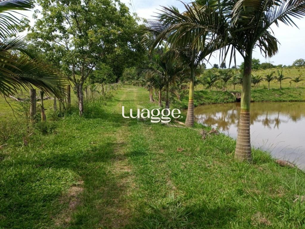 Sítio, 14 quartos, 36843 m² - Foto 5