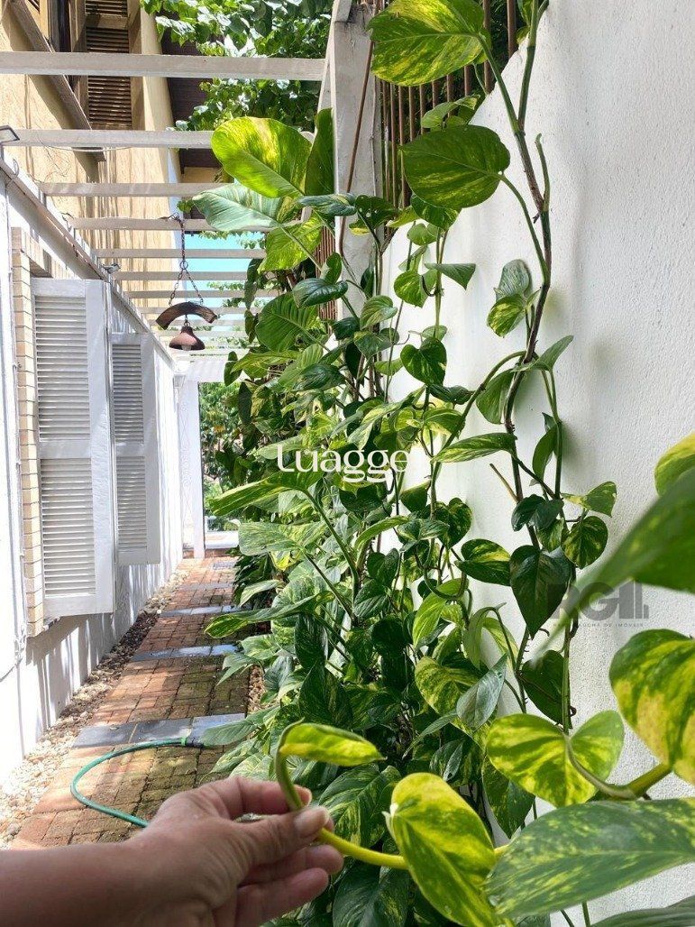 Casa à venda com 4 quartos, 577m² - Foto 35