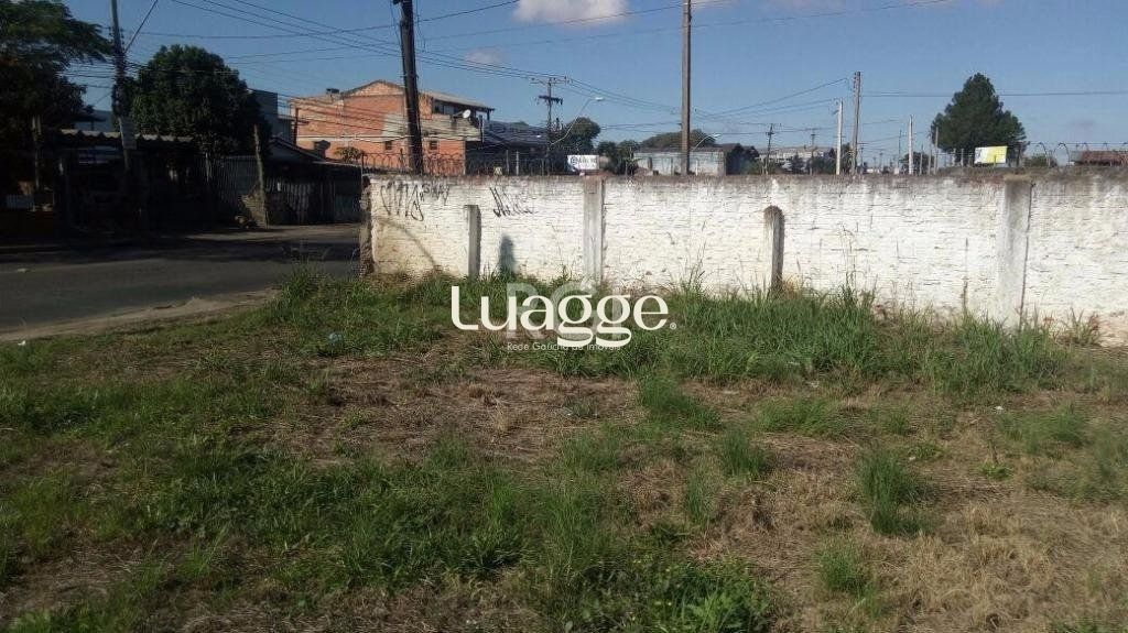 Depósito-Galpão-Armazém à venda, 330m² - Foto 2