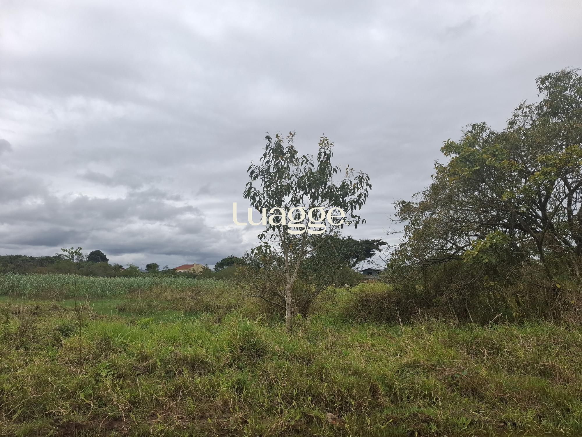 Terreno, à venda, Engenho Velho - Torres — foto 4