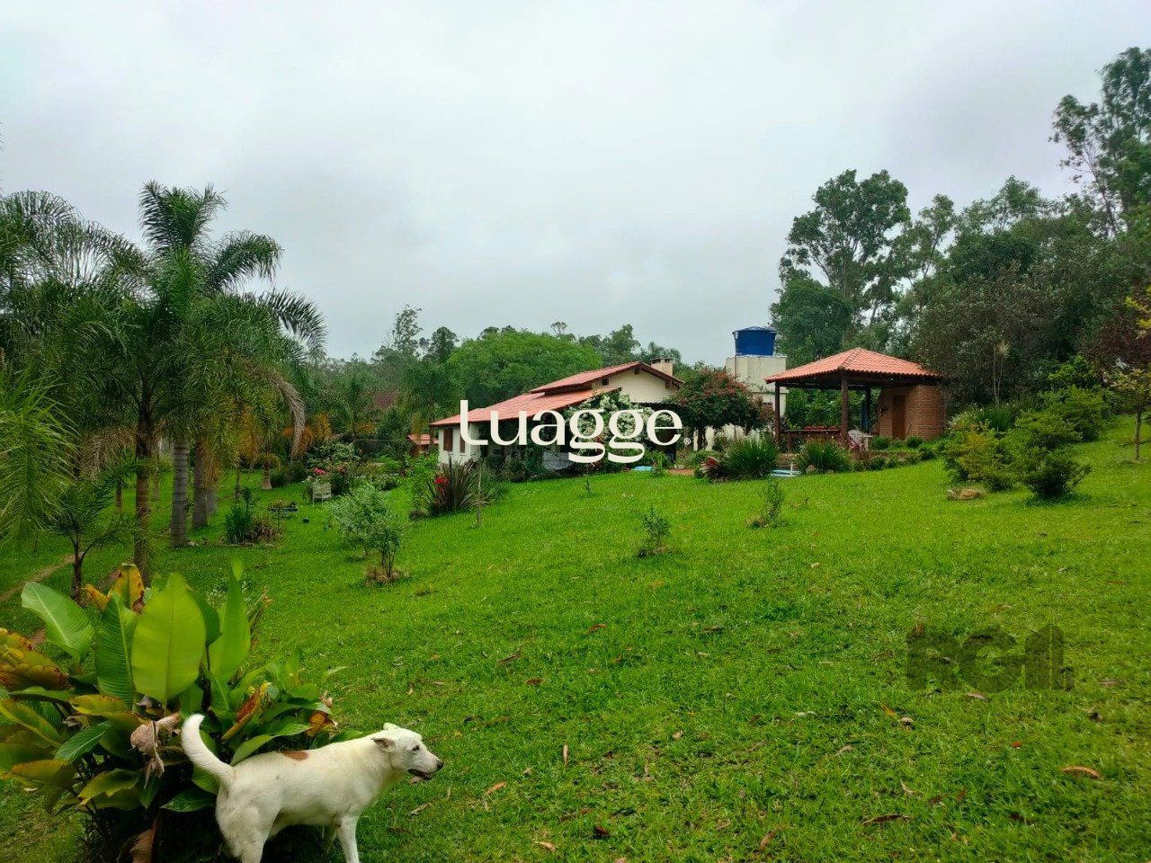 Sítio à venda com 2 quartos, 146m² - Foto 22