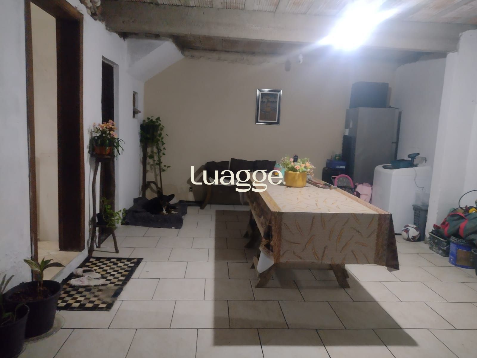 Casa à venda com 3 quartos, 1m² - Foto 5