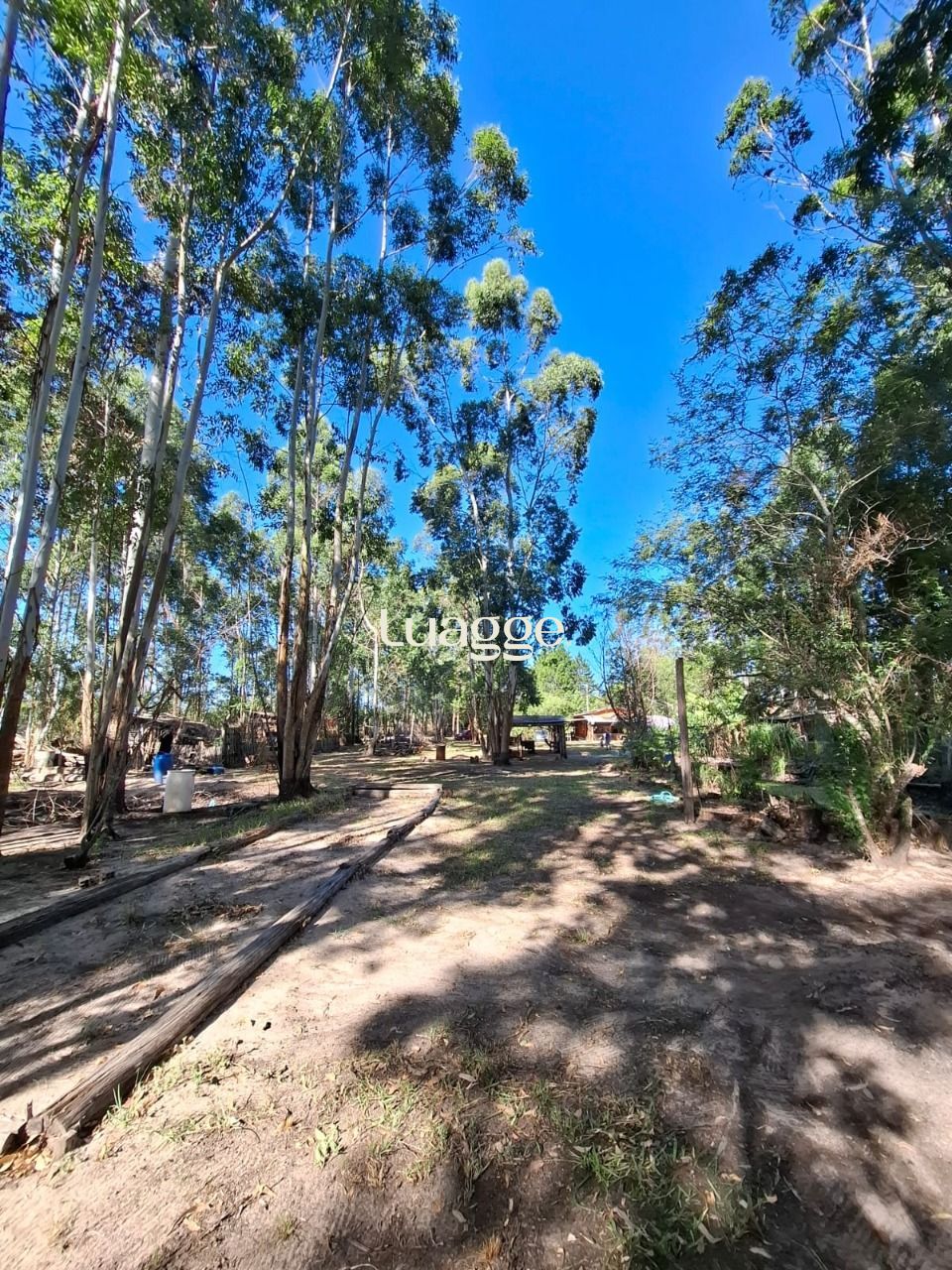 Sítio à venda com 4 quartos, 90m² - Foto 54