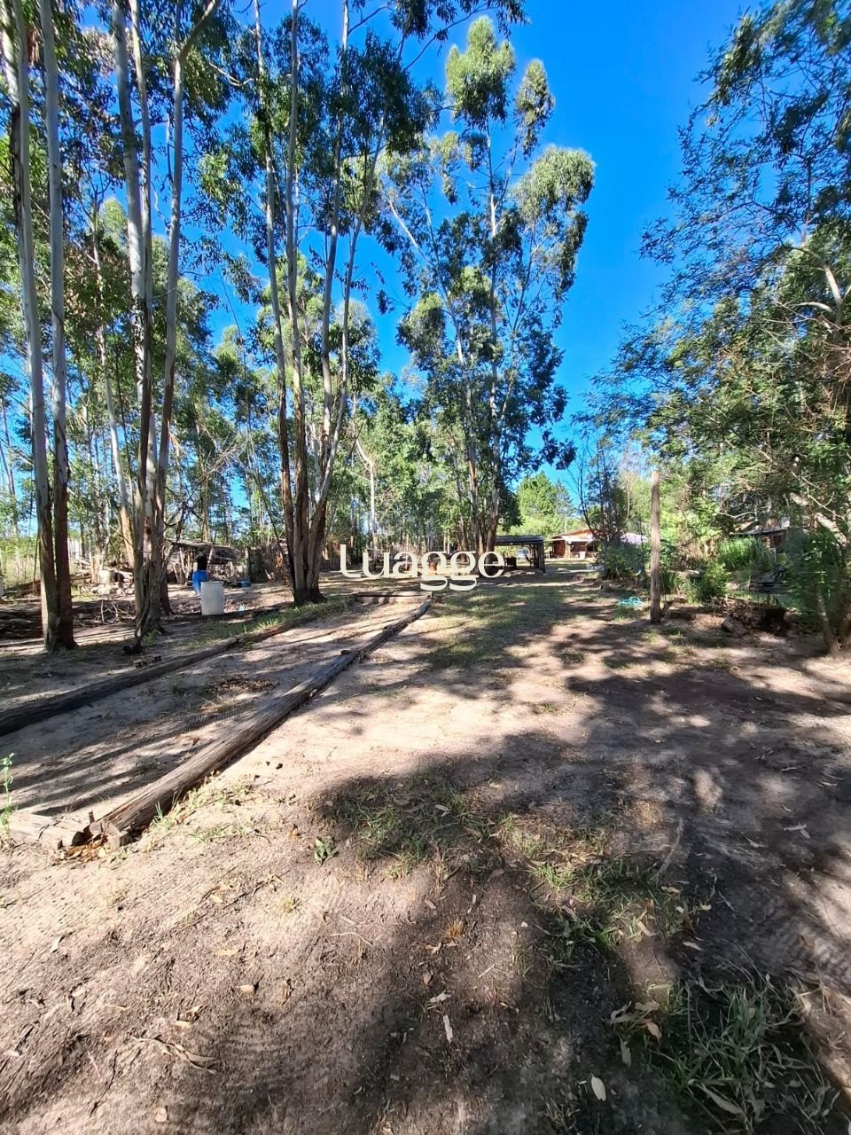 Sítio à venda com 4 quartos, 90m² - Foto 49