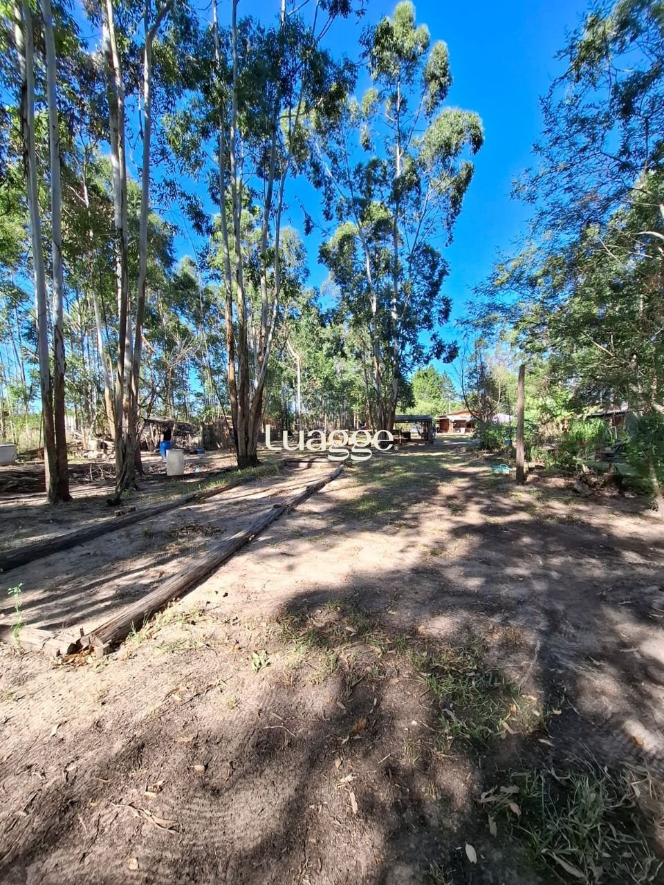 Sítio à venda com 4 quartos, 90m² - Foto 51