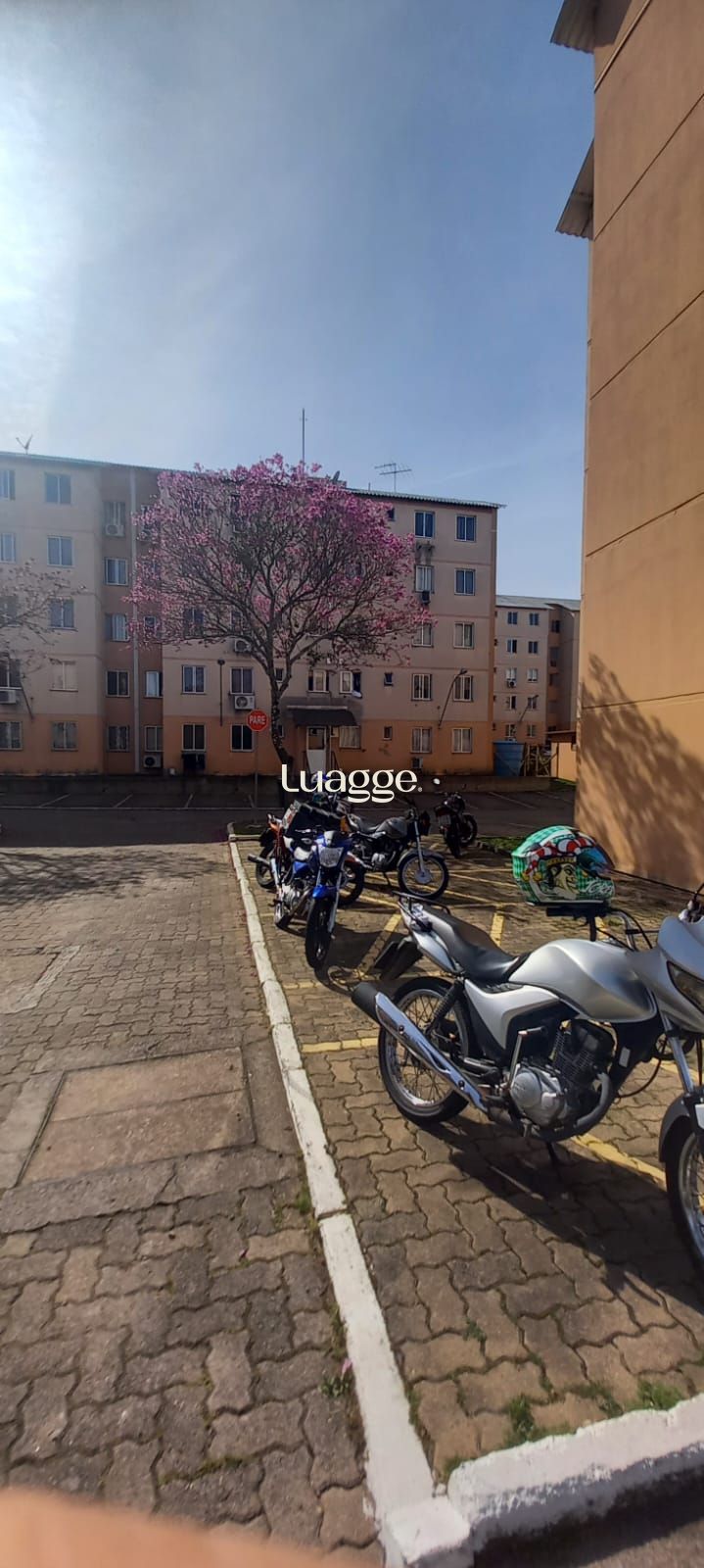 Apartamento, 2 quartos, 37 m² - Foto 6