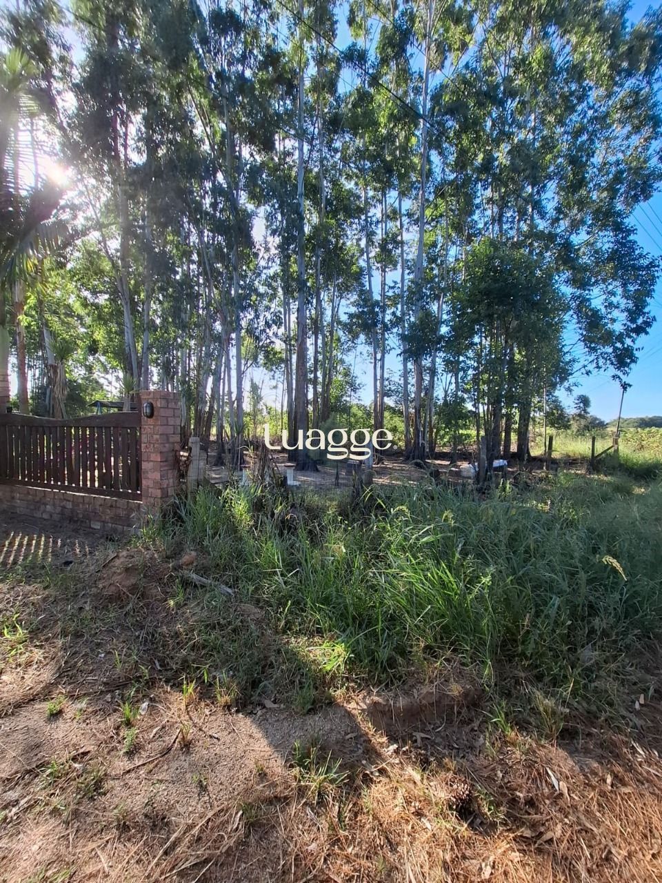 Sítio à venda com 4 quartos, 90m² - Foto 4