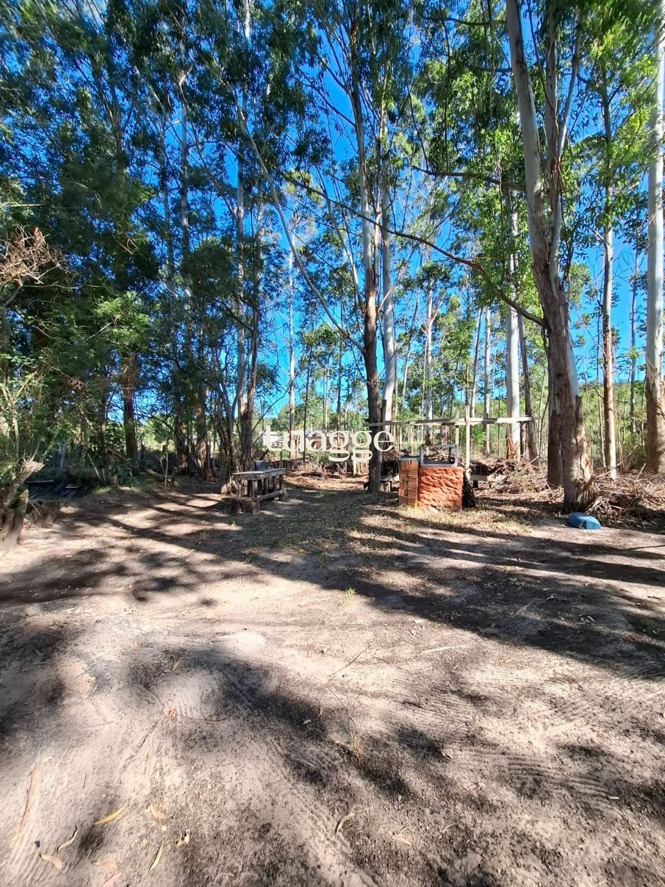 Sítio à venda com 4 quartos, 90m² - Foto 50