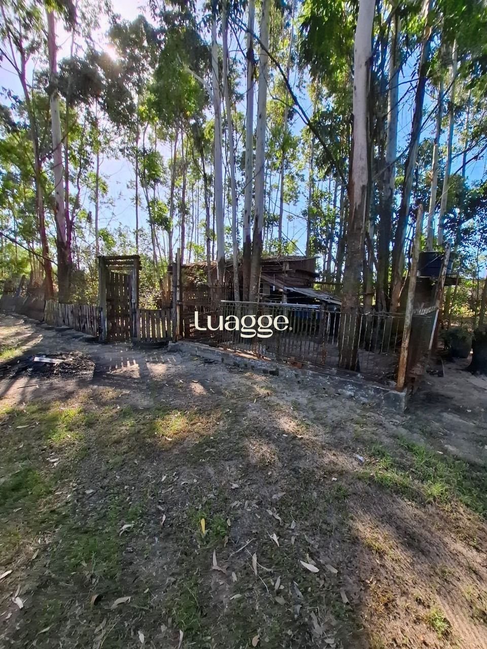 Sítio à venda com 4 quartos, 90m² - Foto 47