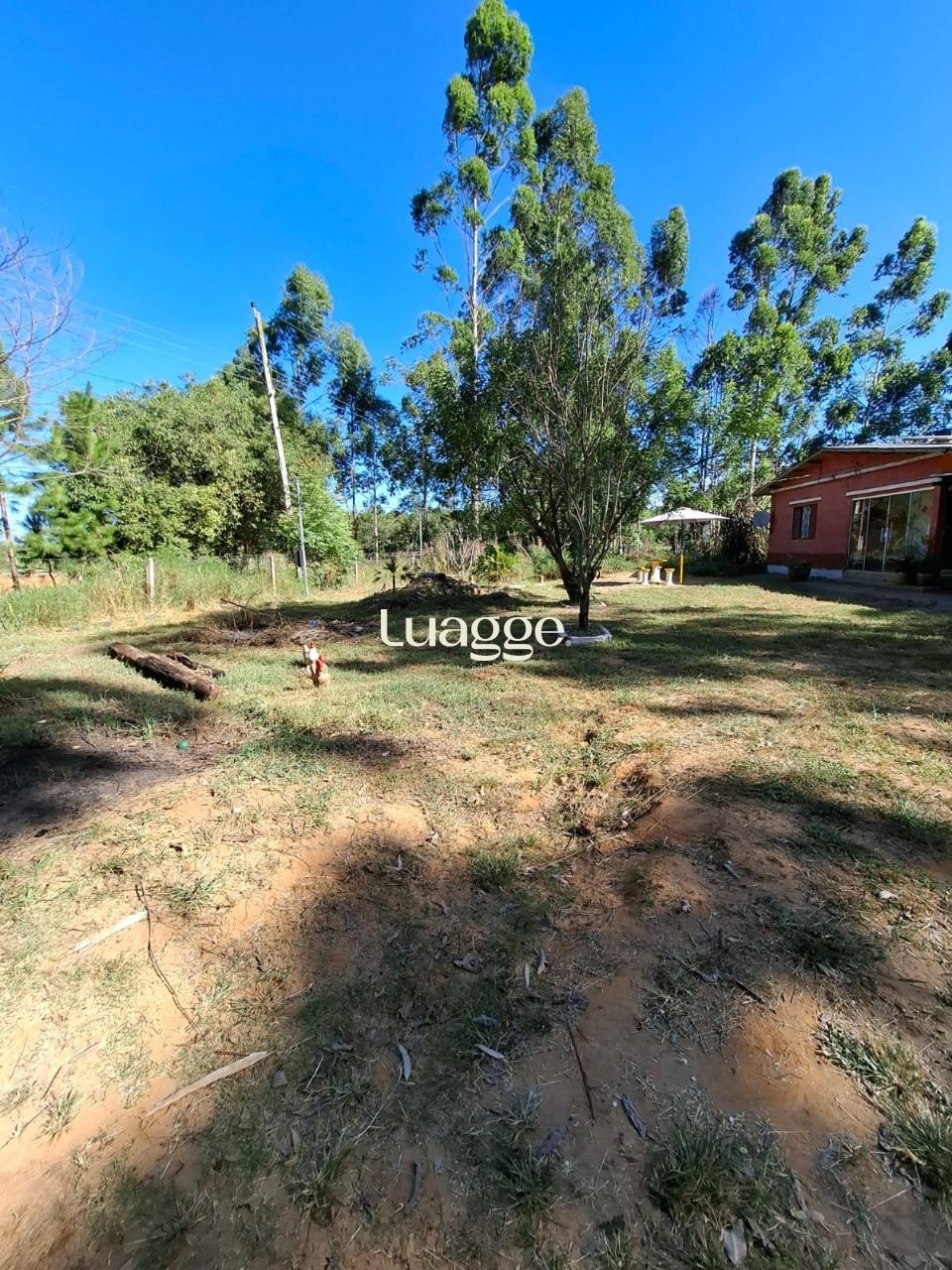 Sítio à venda com 4 quartos, 90m² - Foto 12