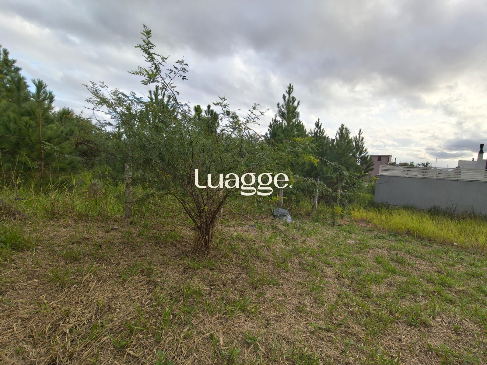 Terreno, à venda, Guarujá - Porto Alegre — foto 3