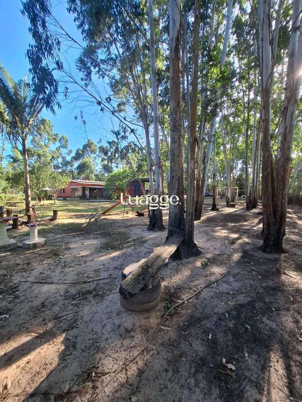 Sítio à venda com 4 quartos, 90m² - Foto 5