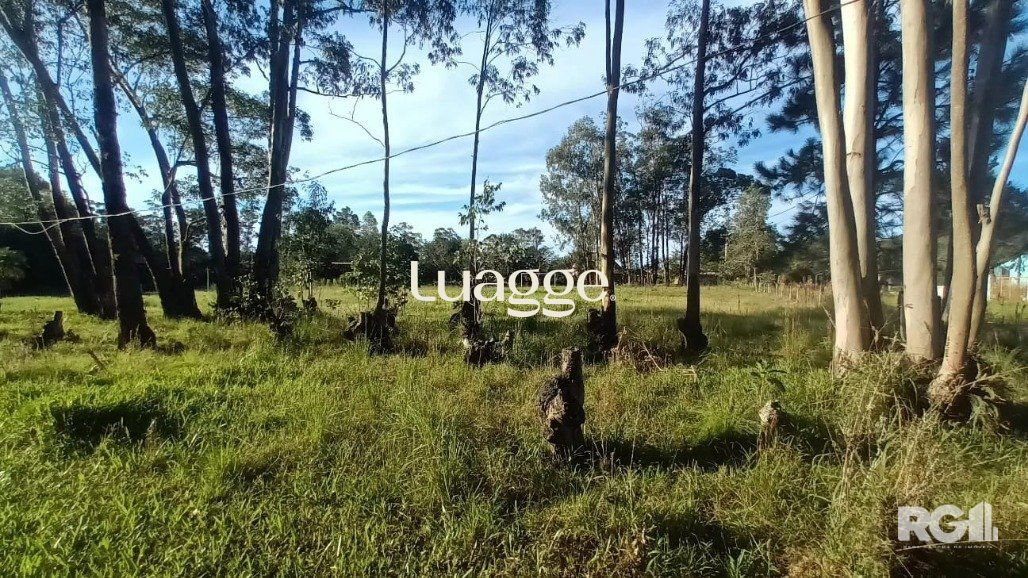 Sítio à venda com 1 quarto, 6981m² - Foto 16