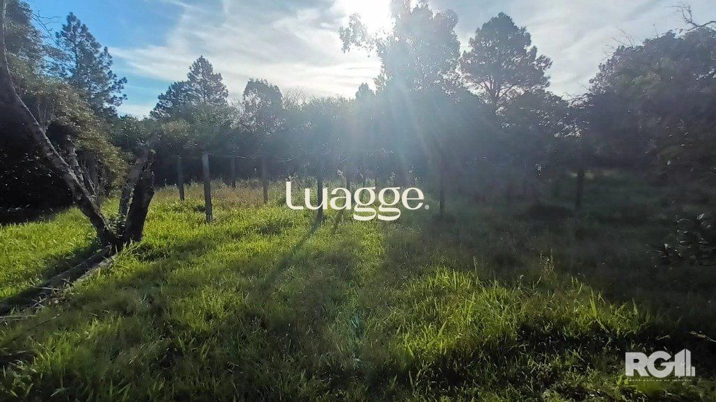 Sítio à venda com 1 quarto, 6981m² - Foto 12