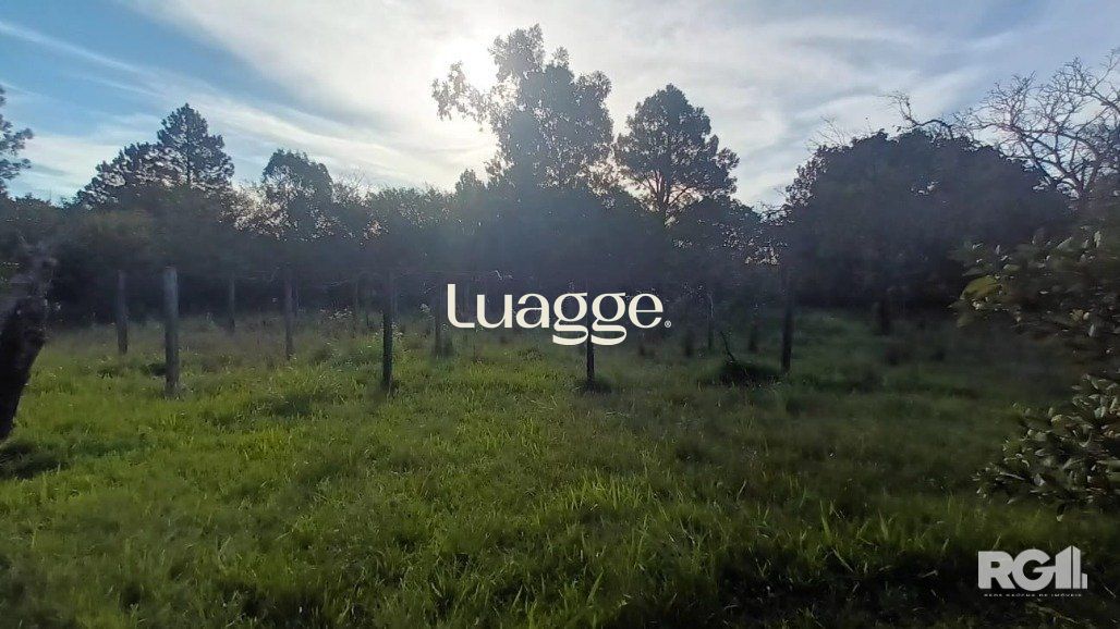 Sítio à venda com 1 quarto, 6981m² - Foto 14