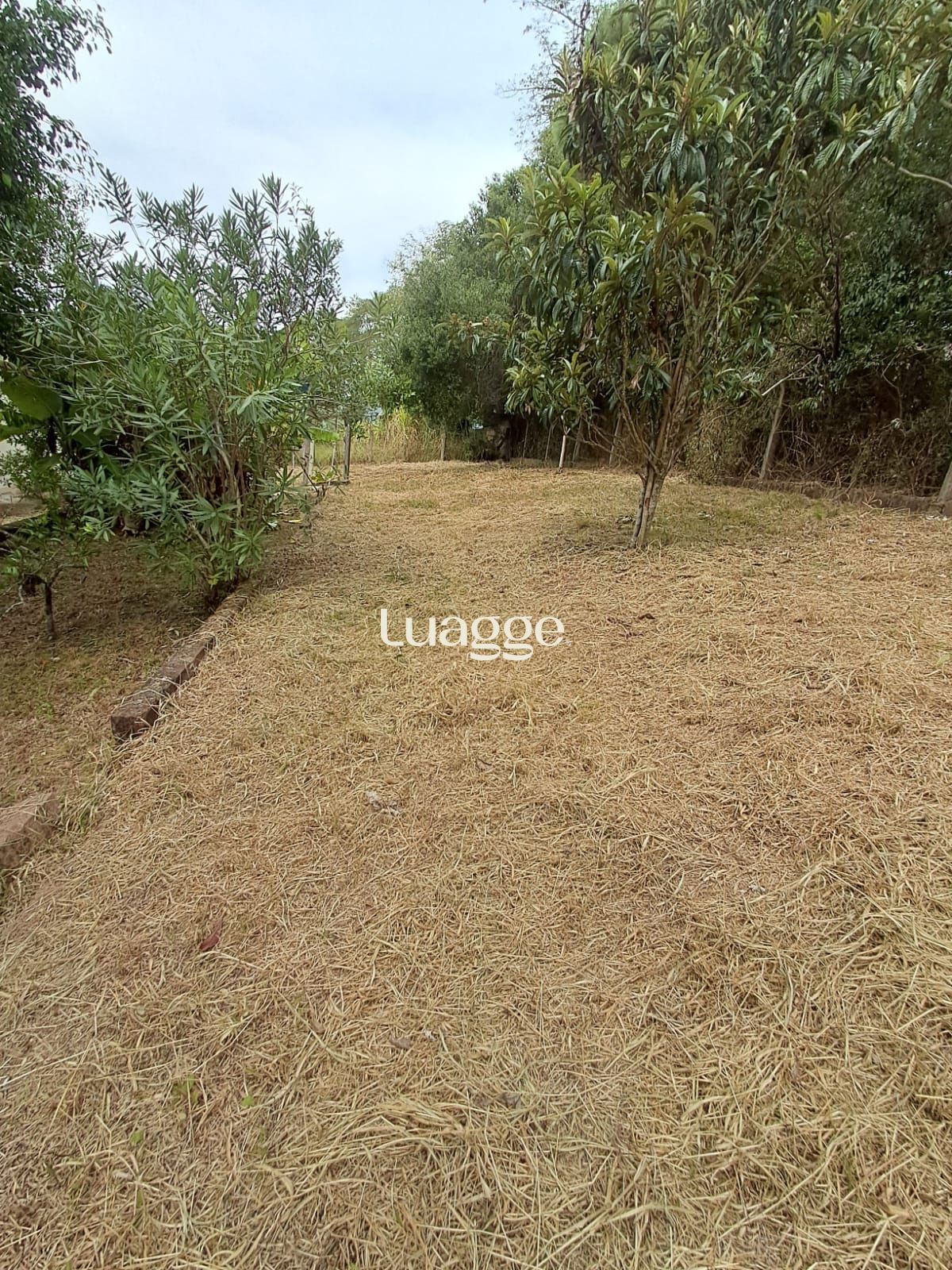 Sítio à venda com 3 quartos, 2m² - Foto 11