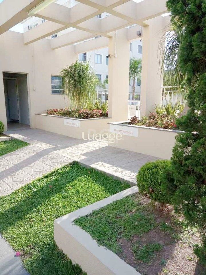 Apartamento, 3 quartos, 52 m² - Foto 13