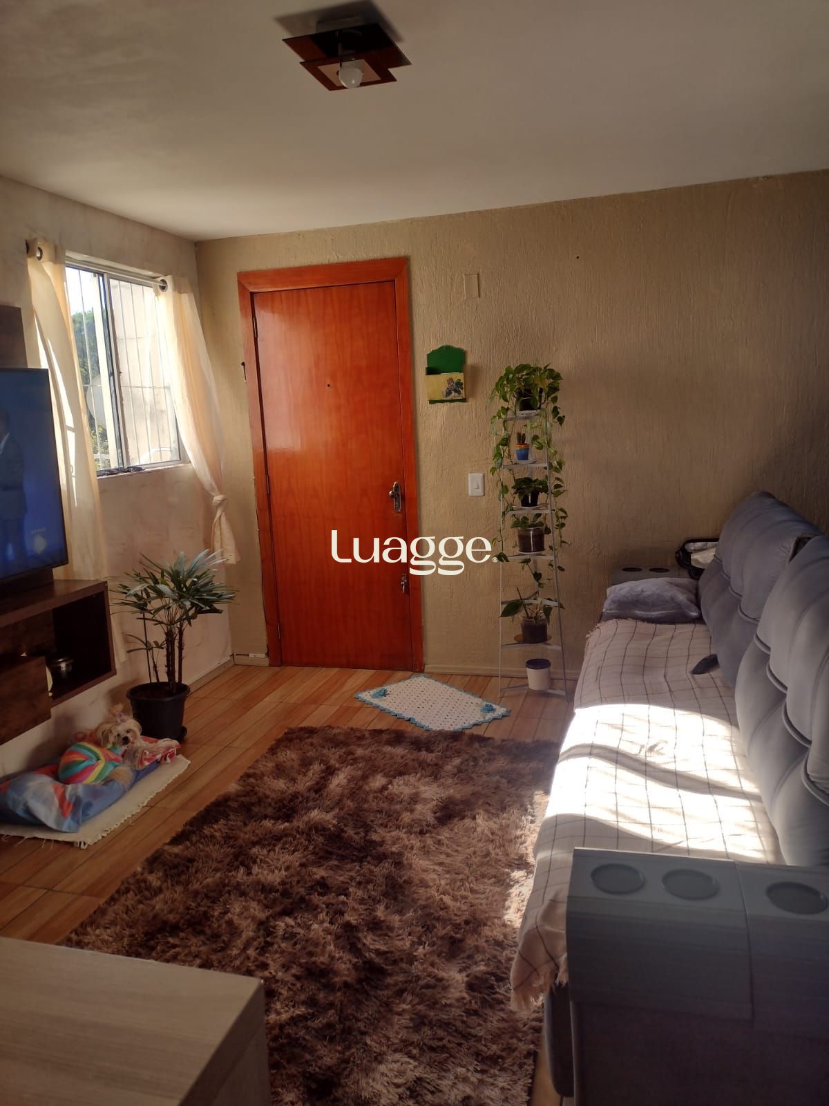 Apartamento, 2 quartos, 43 m² - Foto 4